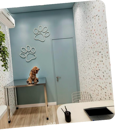 Therapy Room